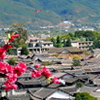 Lijiang Ancient Town