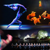 Night shows