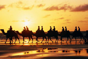 Silk Road Adventure Silk Road Adventure