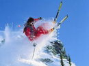 Skiing Tours Skiing Tours