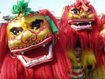 Beijing Travel Guide