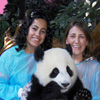Itinerary plus - featured activities