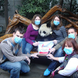 China Panda Tours