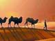 Silk Route Adventure