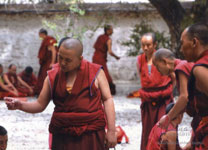 Tibet monks
