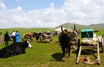 Mongolia tours