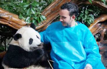 Panda tour