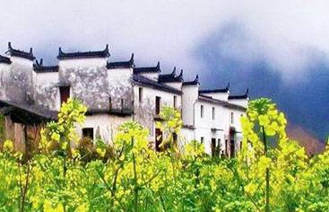 Wuyuan in Spring flowers