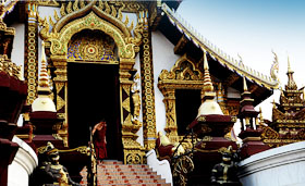 Chiang Mai Experience