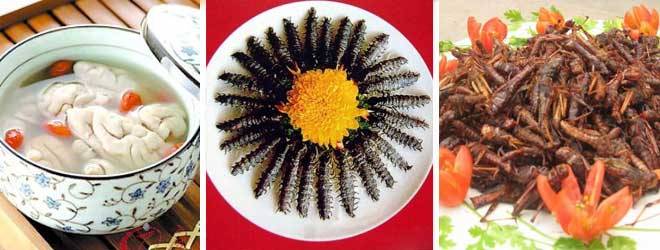 Chinese Crazy Food