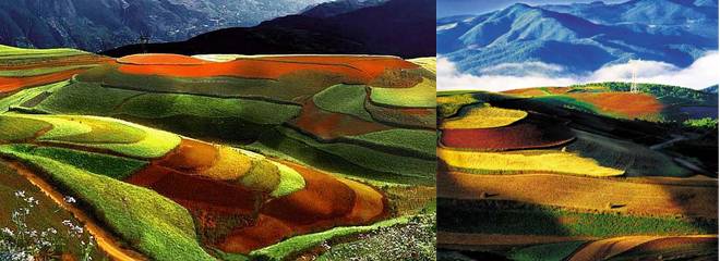 Dongchuan Red Land, Best Places to Travel in Early Summer Dongchuan Red Land, Best Places to Travel in Early Summer