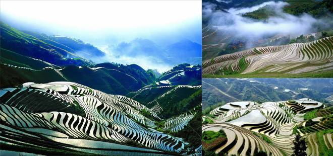 Longji Rice Terraces, Best Places to Travel in Early Summer YLongji Rice Terraces, Best Places to Travel in Early Summer