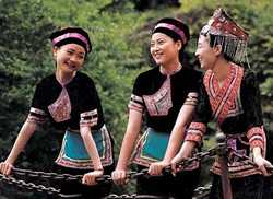 She Minority in Yunhe Rice Terraces