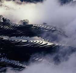 Yuanyang Rice Terraces