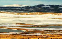 The Changtang Grassland