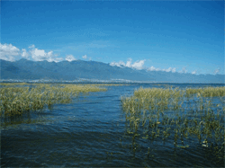 Lake Erhai
