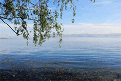 Lake Erhai