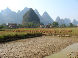 Village Scenery