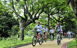 Guangzhou Biking