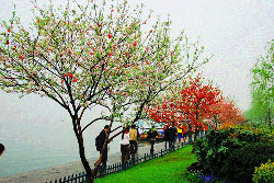 West Lake in mists