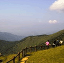 Hiking in Tai Mo Shan Country park