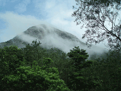 Lantau Peak in clouds