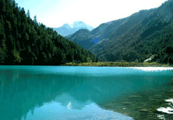 Tiger Lake