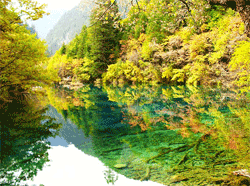 Breath-taking autumn scenery in Jiuzhaigou
