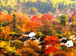 Fabulous autumn scenery in Tachuan