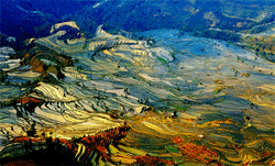 Yuanyang terraced fields