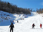 4 Day Harbin Sites & Yabuli Ski Adventure