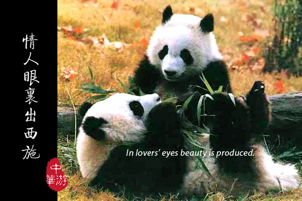 Chinese Proverbs