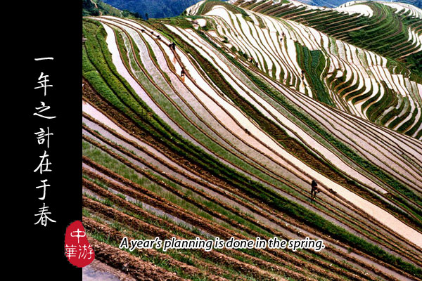Chinese Sayings For New Year. Chinese Proverbs
