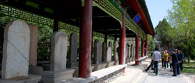 The Stele Forest