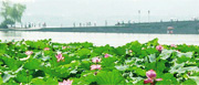 CHina's must visit cities
