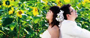 Best places to go for honeymoon