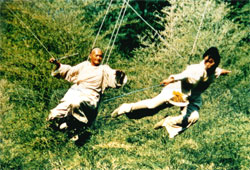Crouching Tiger, Hidden Dragon