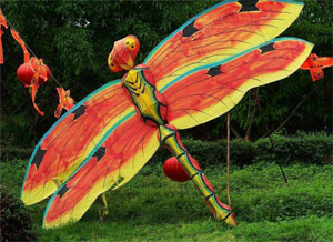 Chinese Kites