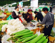 Local Farmers' Market