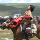 Horse Racing Festival