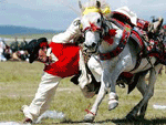 Nagq horse racing festival