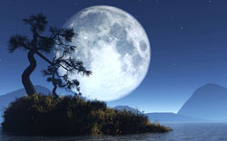 Mid-autumn festival poems