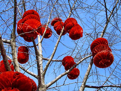 Chinese Festivals