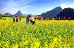 Spring outing at Qingming Festival