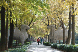Mausoleum of Zhu Yuanzhang in Nanjing