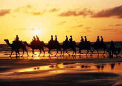 The Silk Road