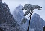the Yellow Mountains
