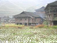 A zhuang village in Longsheng near guilin