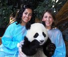 Holding a Giant Panda