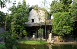 Plants in a Chinese Garden